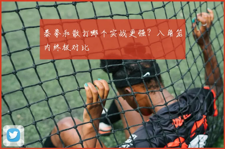 泰拳和散打哪个实战更强？八角笼内终极对比