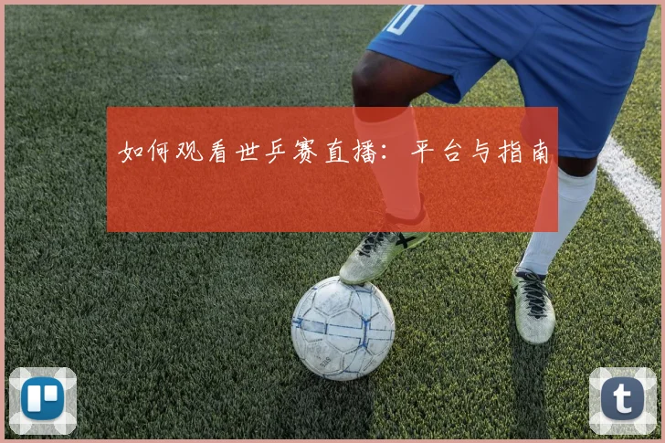 如何观看世乒赛直播：平台与指南
