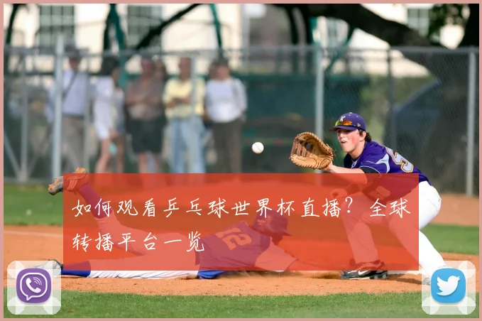 如何观看乒乓球世界杯直播？全球转播平台一览