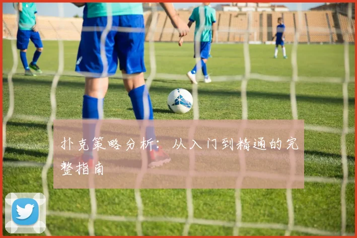 扑克策略分析:从入门到精通的完整指南