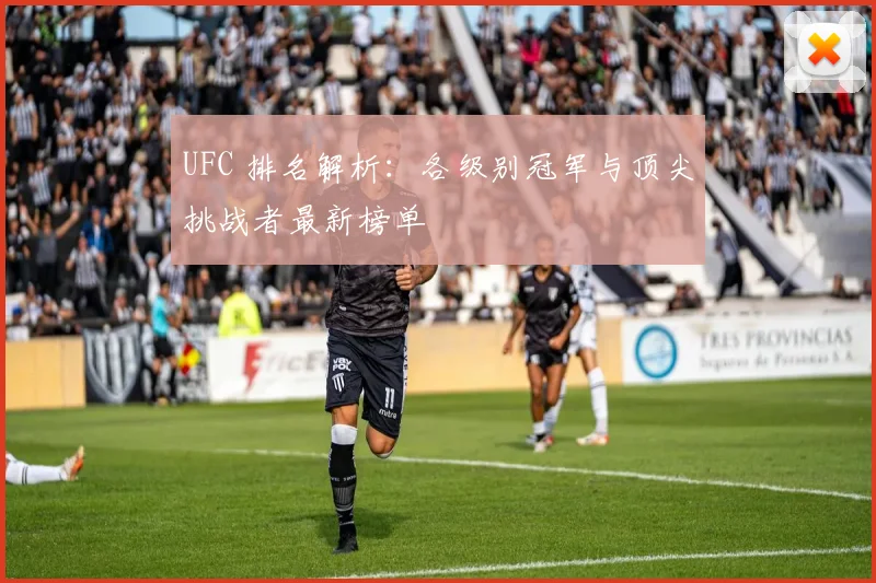 UFC 排名解析：各级别冠军与顶尖挑战者最新榜单
