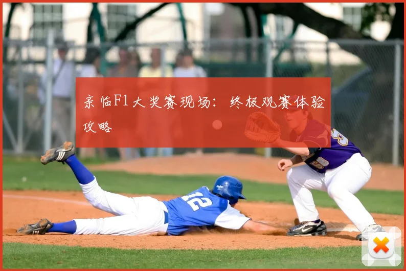 亲临F1大奖赛现场：终极观赛体验攻略