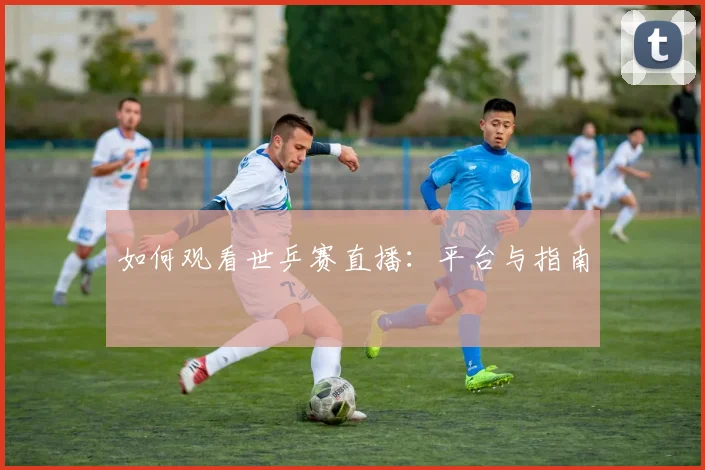 如何观看世乒赛直播：平台与指南
